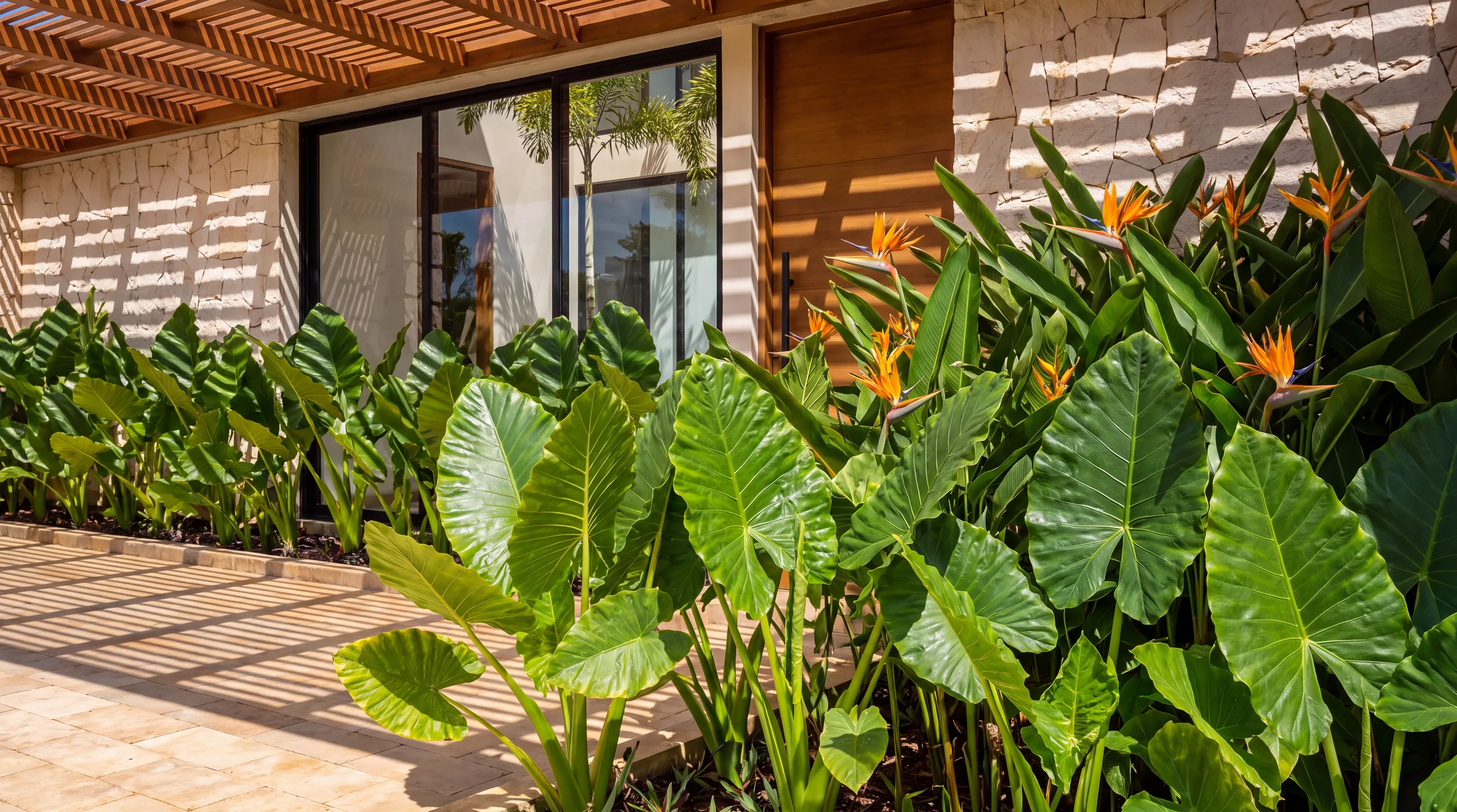vegetacion-tropical-entrada